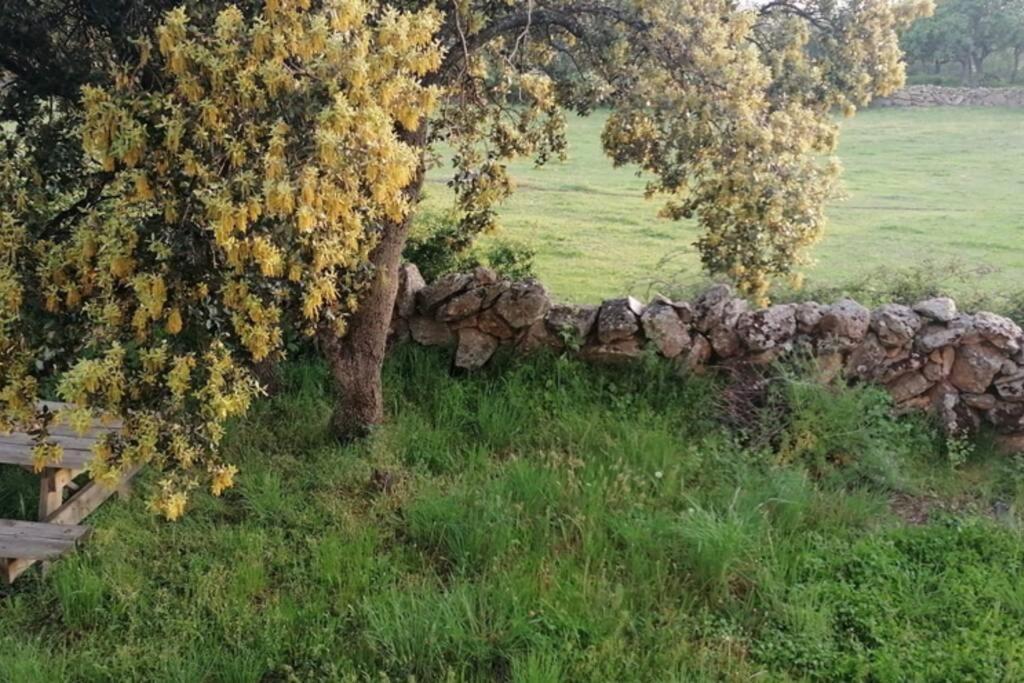 Willa Casa Namaste - Ortigosa Del Monte Zewnętrze zdjęcie