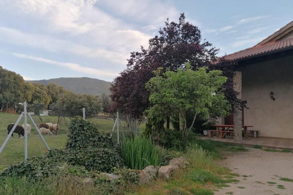Willa Casa Namaste - Ortigosa Del Monte Zewnętrze zdjęcie